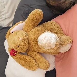 Bunny Rabbit Plush toy long lop ear stuffed animal kids Easter Build a bear